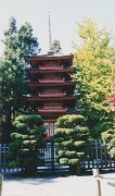 025-Japanese Tea Garden